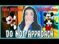 DO NOT Approach The Second Mickey At Disney Parks