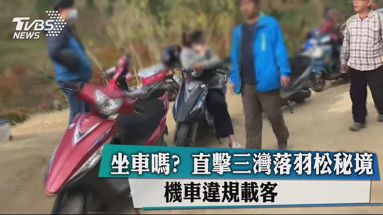 「坐車嗎?」直擊三灣落羽松秘境 機車違規載客