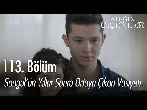Songül'ün yıllar sonra ortaya çıkan vasiyeti - Kırgın Çiçekler 113. Bölüm | Final