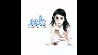 the eels - not ready yet