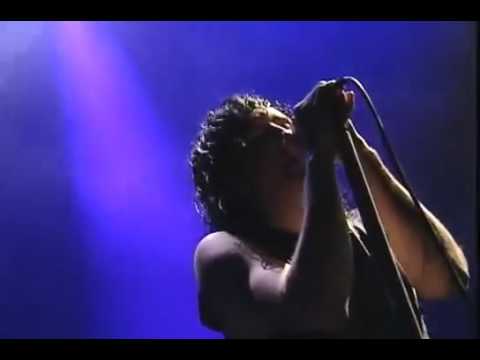 Nine Inch Nails feat. David Bowie  --  Hurt  (LIVE)