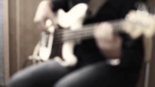 Jaguar under the Xmas tree - The Indianpalms