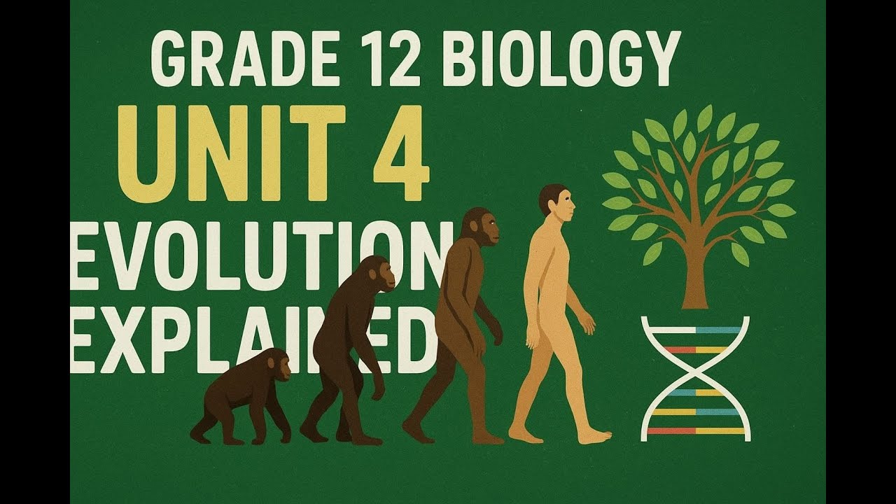Grade 12 Biology – Unit 4: Evolution Explained | Full Chapter Guide