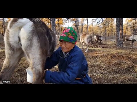 Amazing Trip through North and West Mongolia