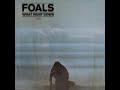 Foals What Went Down 2015 Full Album