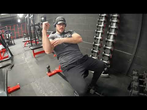 Spring Cut - Day 10 - CBum's Arm Day