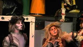 Old Deuteronomy from CATS