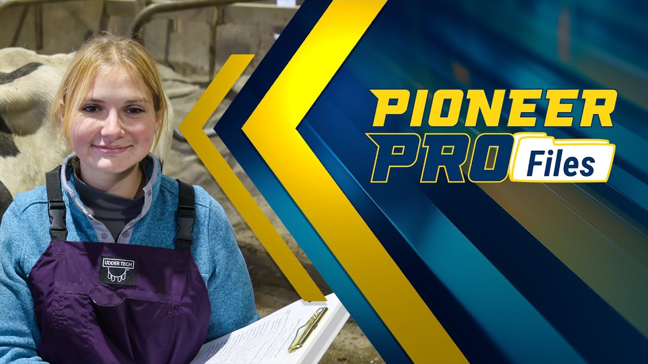 Video preview thumbnail