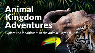 Varsity Tutors' StarCourse - Animal Kingdom Adventures presented by Phoenix Zoo