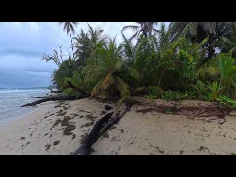 Red Frog Beach Bocas Del Toro Panama