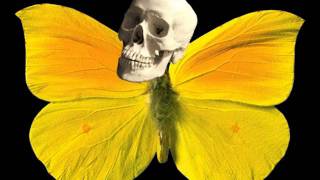 GUS GUS ACID-beautifull girl