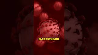 Can humans become immortal? The science behind aging and living forever. 🧬 #Immortality