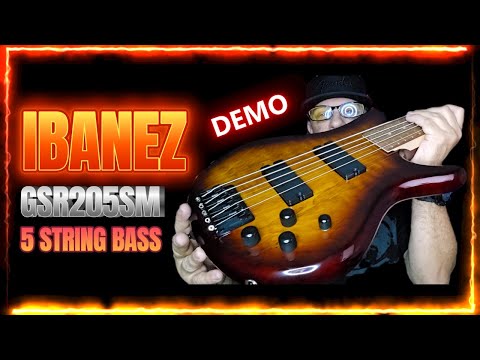 FIVE STRING Ibanez GSR205SM - Natural Gray Burst - MIB image 14