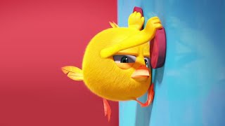 Not So Easy! | Where's Chicky? | Cartoon Collection in English for Kids | New episodes