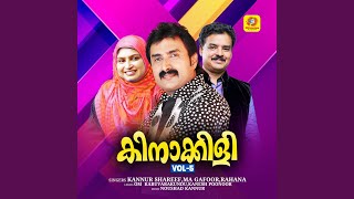 Download lagu Thullichadum Pathinanjil mp3 Download lagu Thullichadum Pathinanjil mp3