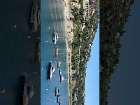 summer and no stress 🥥