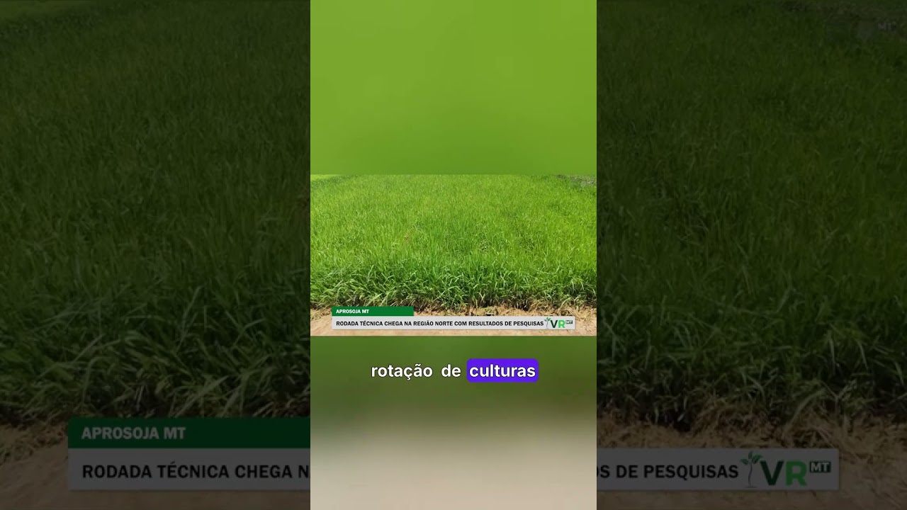 Dominando a Rotação de Culturas