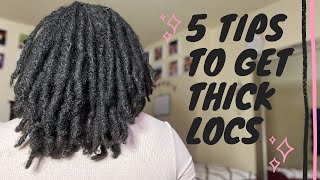 5 Tips To Get Thick Locs - Sofineee