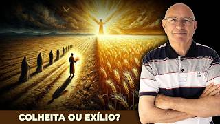 The Last Seeds at the Great Crossroads of Life - 5/31/25