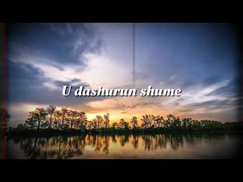 Valentini i Fundit (Histori Prekese)💔