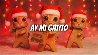 Download lagu Ay mi Gatito Miau Miau |  video Remix mp3
