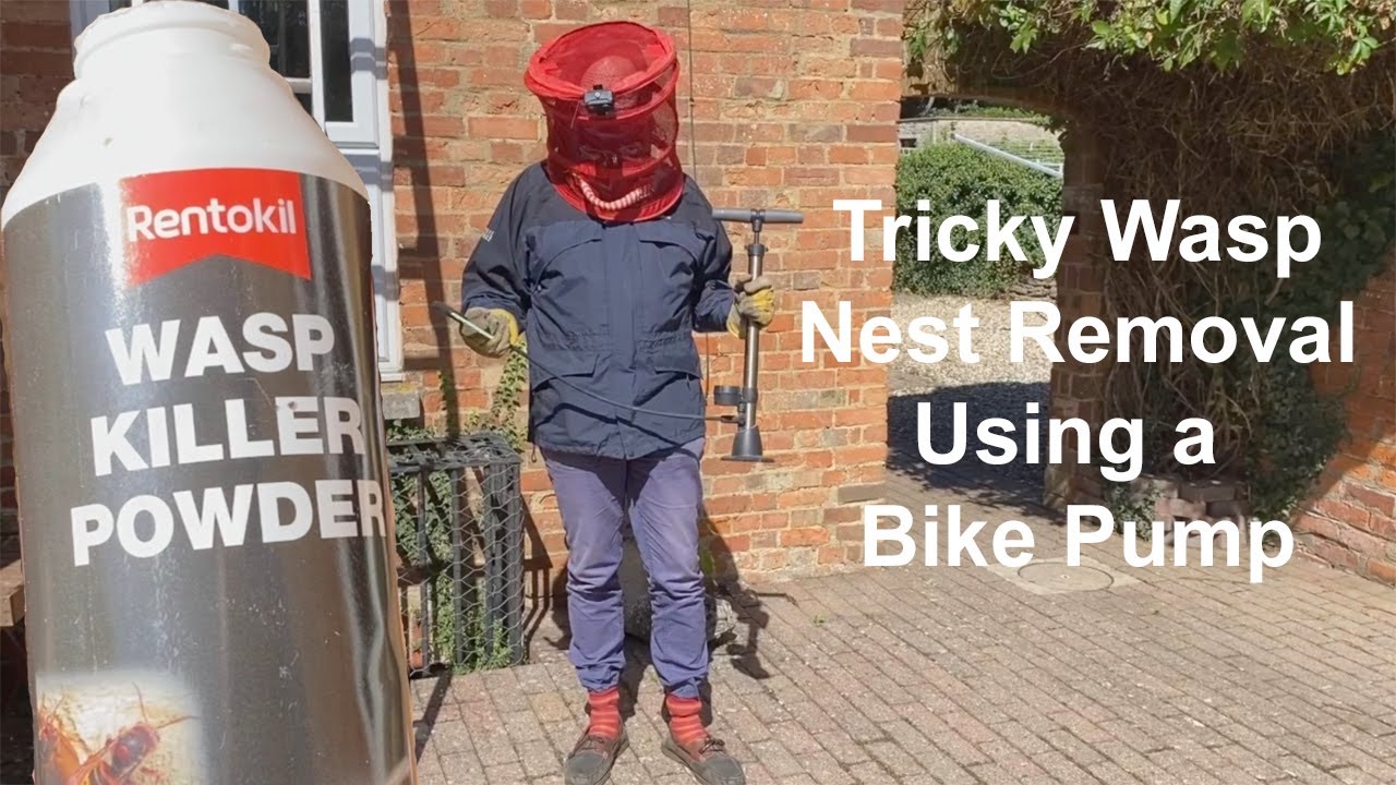Wasp Nest Removal in Difficult to Reach Wall Using Powder and a Bike Pump