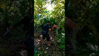 Download lagu KANIBAL PART 2 : Behind the scene . #viralvideo #behindthescene #awatakproductiontv #trending mp3