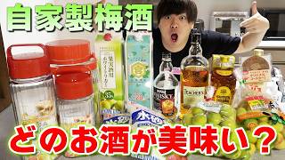 自家製梅酒を色んなお酒で作りたいんじゃあ！！【仕込み編】