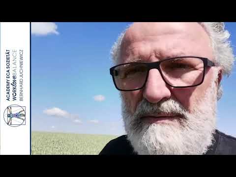 Das Geheimnis des Erfolges ist - Deine Integrität - und Professionalität | Bernhard Juchniewicz