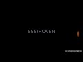 Closing To Beethoven 1997 Dvd 1998 Reprint
