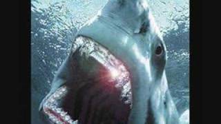 Don&#39;t Forget Em Video