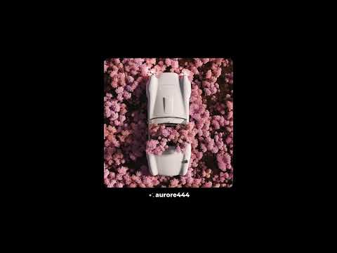 luther & rounhaa type beat - la vie devant soi (prod. aurore444)