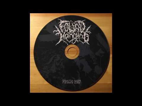 Found Hanging - Promo 2017