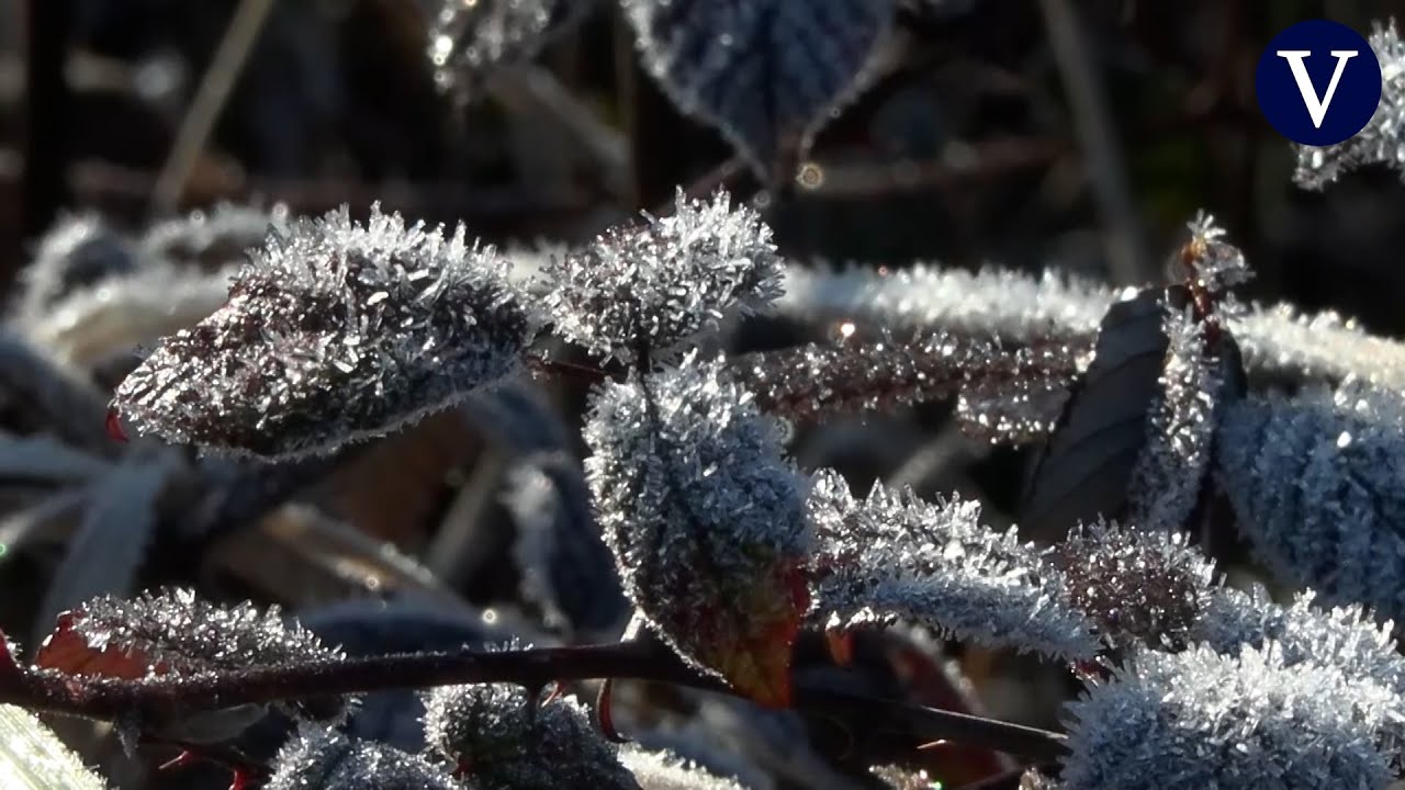Llega la semana más frío del invierno