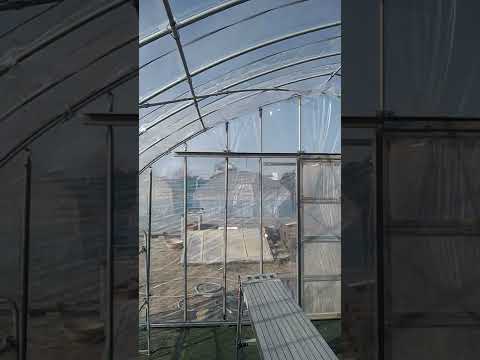  11月に温室に何を植えますか？冬に栽培を成功させるために温室を準備するにはどうすればよいですか？  庭園