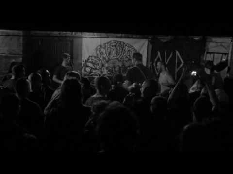 RAW NOISE APES Live @ Optimalinija/Kaos Panonia festival 10.07.2016