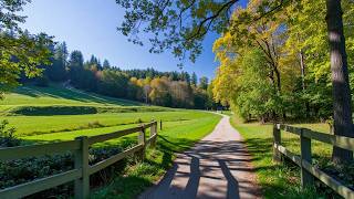 Restore Your Nervous System 🍀 Beautiful Relaxing Music for Anxiety Relief & Healing