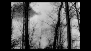 Lori Starr The Dark Side