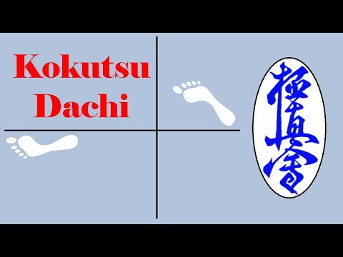 How To Dachi: Kokutsu-Dachi & Neko-Ashi-Dachi - KyokushinDan