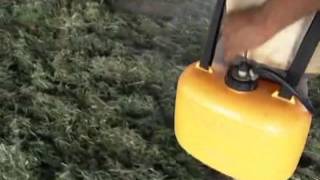 Produção de Capim Pré-Secado em Sacos