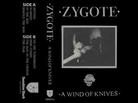 ZYGOTE - Here Come  [crust/post-punk]