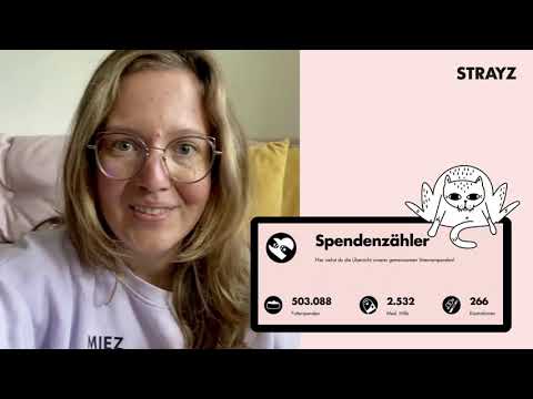 Darum habe ich meinen Job gekündigt!