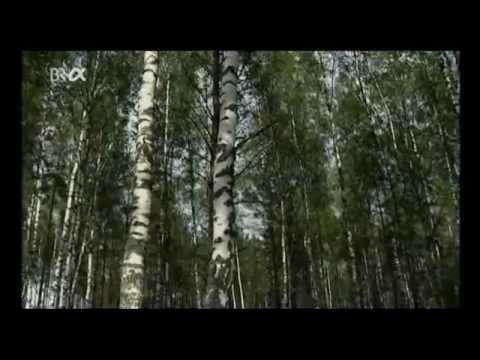 Zug ins Verderben - Die Bayern in Russland 1812(1)