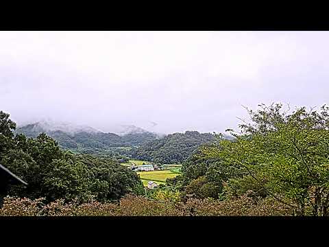 つきだて花工房 伊達市のライブカメラ映像