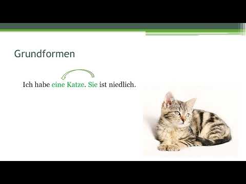 Germana pentru incepatori. Lectia 90. Pronumele personal