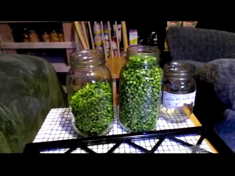 Easy Way for Dehydrating Peas