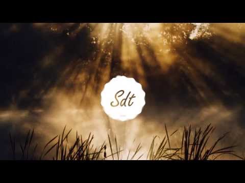 Phaeleh - In The Twilight (The Ninetys Remix)