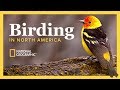 The National Geographic Guide to Birding in North America | Wondrium