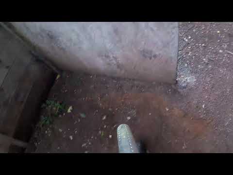 11.8.18 Paintball Aloha Sport Club Braunschweig #11