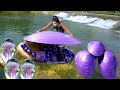 The Giant Purple Clam Has Nurtured Charming And Precious Purple Pearls Bringing Me Immense Wealth